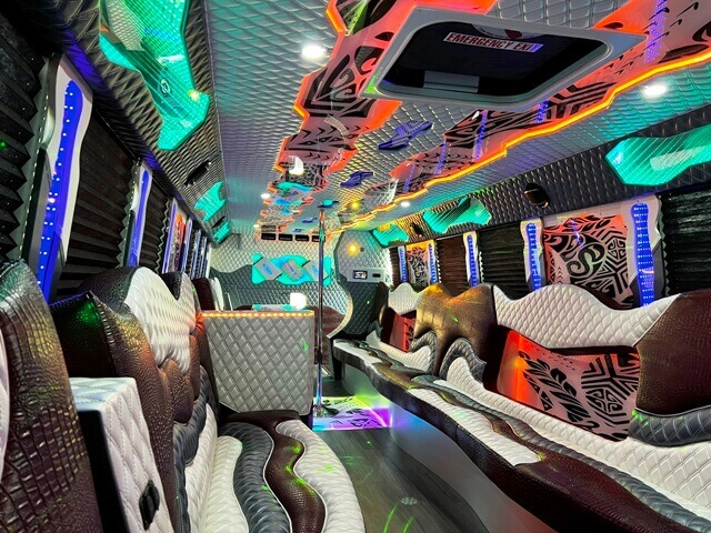 party bus luxury ceilings
